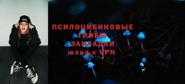 мдпв Красноперекопск