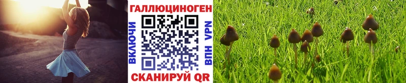 Галлюциногенные грибы Cubensis Сольцы